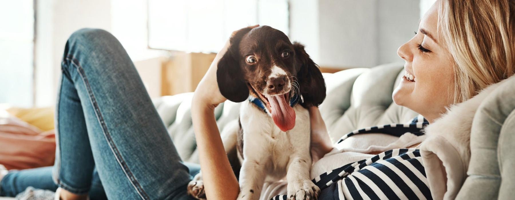 woman lies on a couch and pets her dog